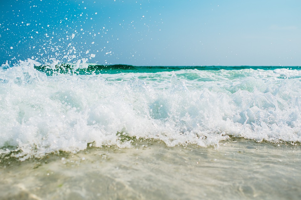 shore
